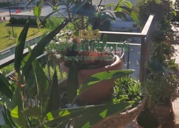 Foto 19 - Trilocale Via Patturelli, San Nicola la Strada - foto 19