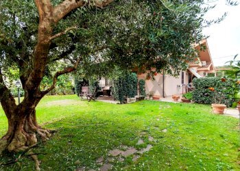 Giardino - Casa semi indipendente via Oricola
 
6C, Guidonia Montecelio - foto 2