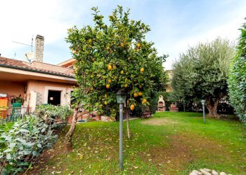 Giardino - Casa semi indipendente via Oricola
 
6C, Guidonia Montecelio - foto 7