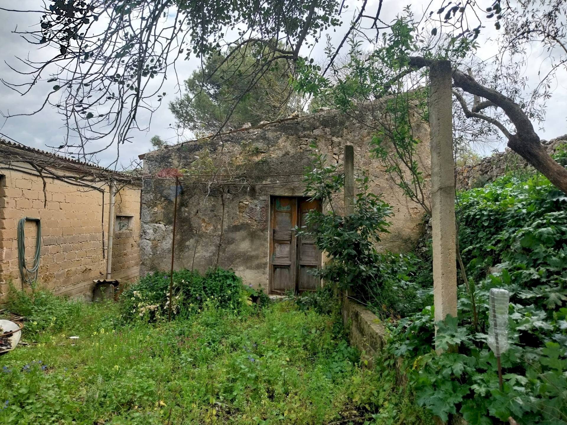 Giardino - Agricultural land via Sant'Andrea Piedigrotta, Modica - photo 3