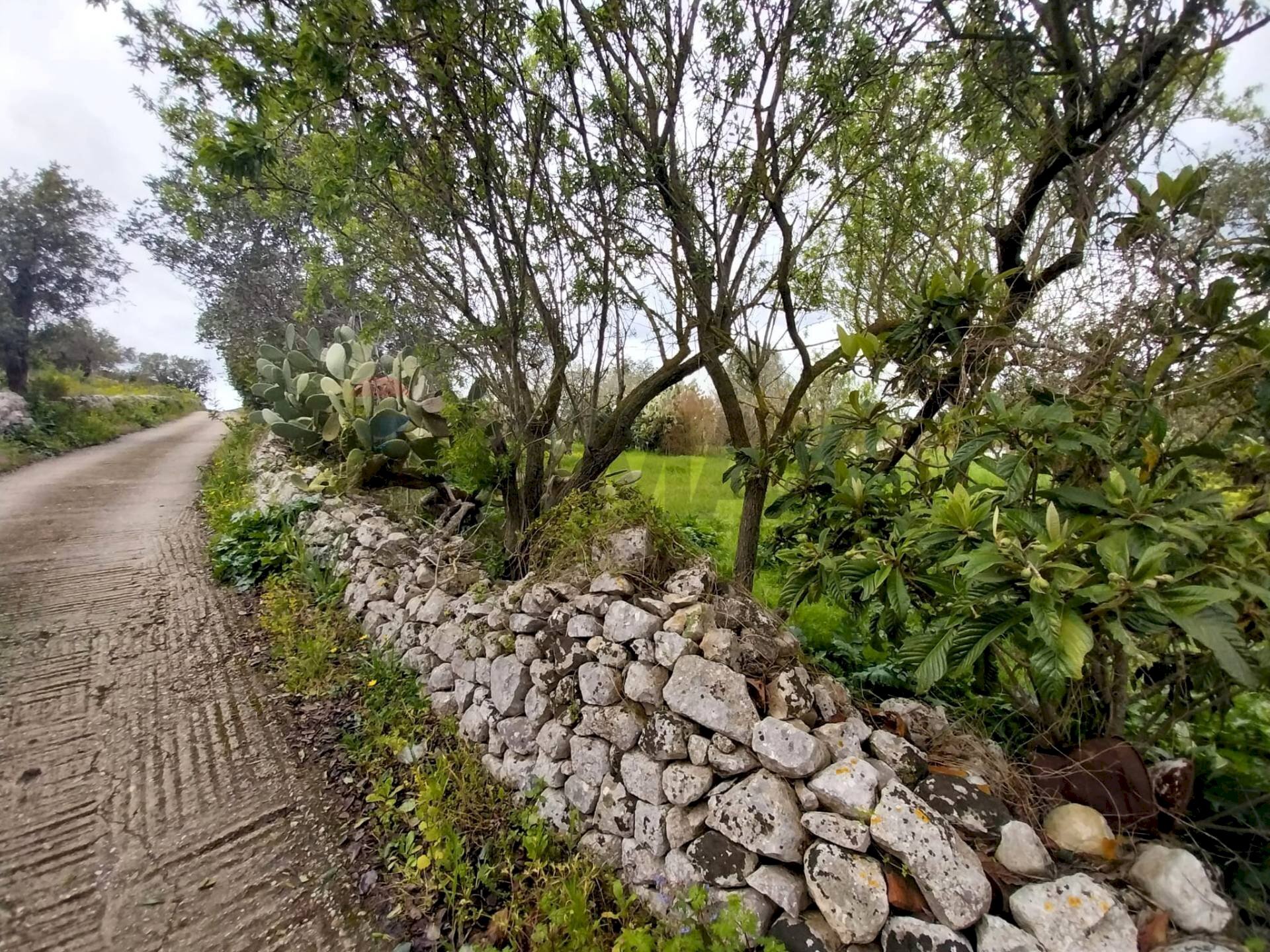 Giardino - Agricultural land via Sant'Andrea Piedigrotta, Modica - photo 2