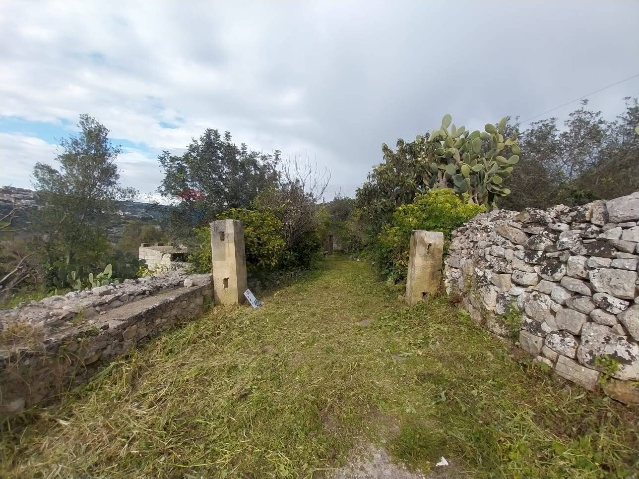 Giardino - Terreno agricolo via Sant'Andrea Piedigrotta, Modica - foto 3