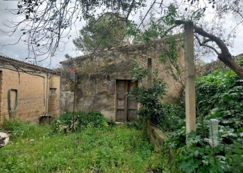 Giardino - Terreno agricolo via Sant'Andrea Piedigrotta, Modica - foto 3