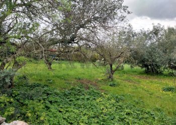 Giardino - Terreno agricolo via Sant'Andrea Piedigrotta, Modica - foto 1