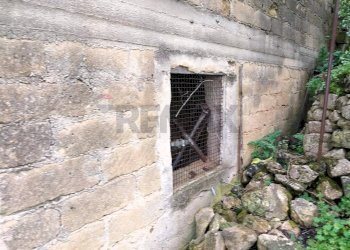 Giardino - Terreno agricolo via Sant'Andrea Piedigrotta, Modica - foto 7