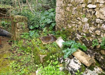 Giardino - Terreno agricolo via Sant'Andrea Piedigrotta, Modica - foto 10