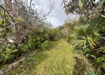 Giardino - Terreno agricolo via Sant'Andrea Piedigrotta, Modica - foto 11