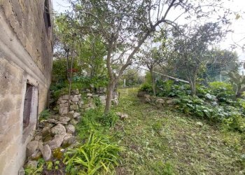 Giardino - Terreno agricolo via Sant'Andrea Piedigrotta, Modica - foto 17