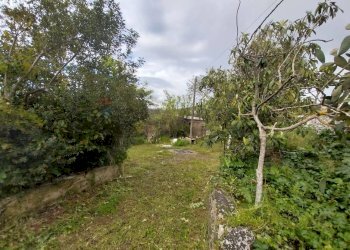 Giardino - Terreno agricolo via Sant'Andrea Piedigrotta, Modica - foto 21