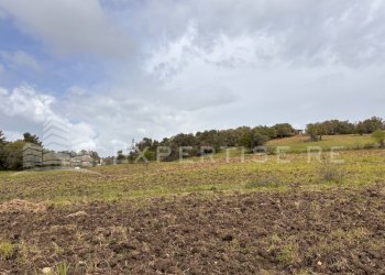 Foto 9 - Terreno edificabile Via Antenna, Caltanissetta - foto 8