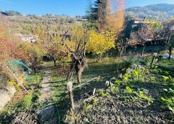 Giardino - Semi-detached house Via Patrioti
 
48, Salsomaggiore Terme - photo 35