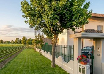 Giardino - Casa indipendente C.da Crocella
 
11, San Giuliano del Sannio - foto 9