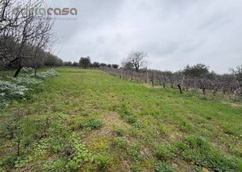 Foto 1 - Terreno agricolo Via Europa, San Clemente - foto 1