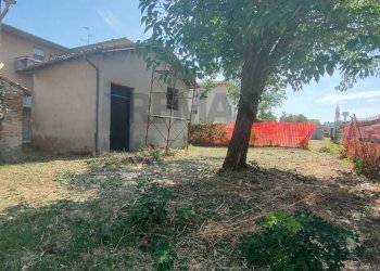 Giardino - Rustico Piazza Italia
 
61, Parma - foto 2