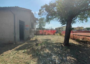 Giardino - Rustico Piazza Italia
 
61, Parma - foto 7