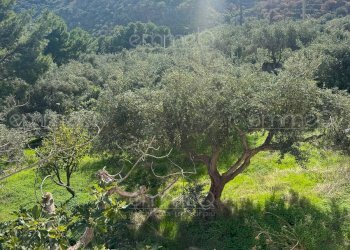 Foto 14 - Villa c.da Ciandro
 
snc, Casteldaccia - photo 14