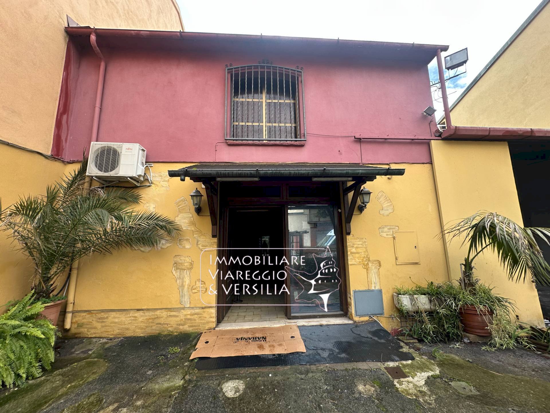 Foto 2 - Negozio Viareggio - foto 2