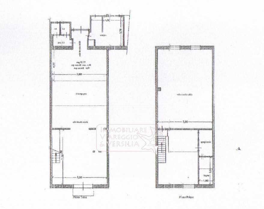 Foto 13 - Negozio Viareggio - planimetria 1