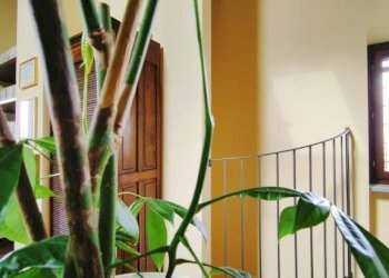 Scala - Villa Frazione Ruata Eandi, Saluzzo - photo 34