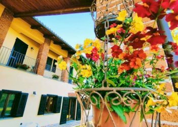 Giardino - Villa Frazione Ruata Eandi, Saluzzo - photo 44