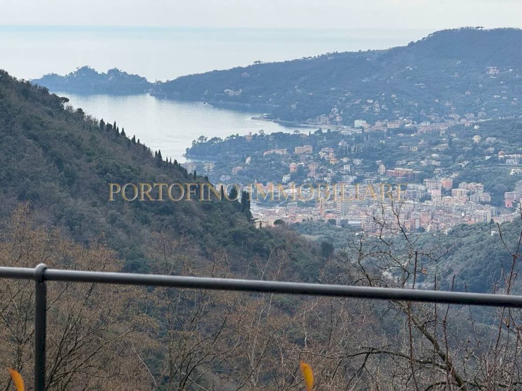 Vista - Appartamento Località Arenella, Zoagli - foto 1