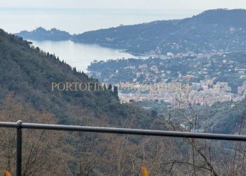 Vista - Appartamento Località Arenella, Zoagli - foto 1