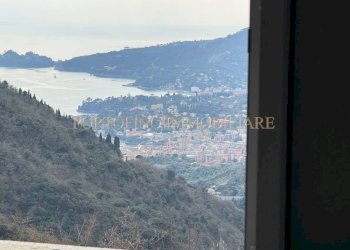 Vista - Appartamento Località Arenella, Zoagli - foto 2