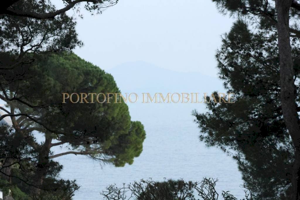 Vista - Appartamento Località Arenella, Zoagli - foto 2