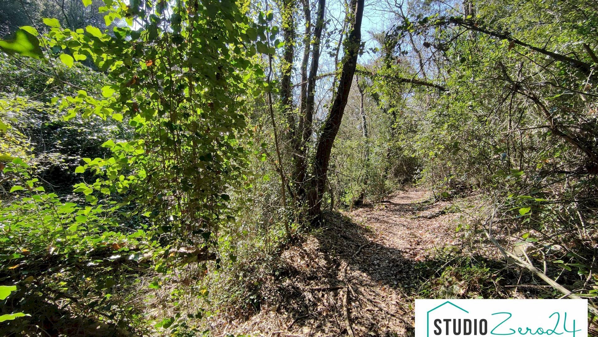 Foto 2 - Agricultural land rimembranze 22, Amelia - photo 2