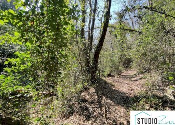 Foto 2 - Agricultural land rimembranze 22, Amelia - photo 2