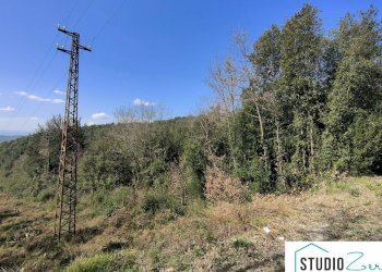 Foto 3 - Agricultural land rimembranze 22, Amelia - photo 3