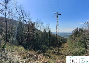 Foto 4 - Agricultural land rimembranze 22, Amelia - photo 4