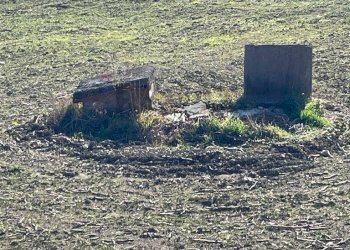 Vista delle montagne - Agricultural land via santa lucia, Botticino - photo 13