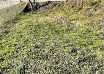 Giardino - Agricultural land via santa lucia, Botticino - photo 15