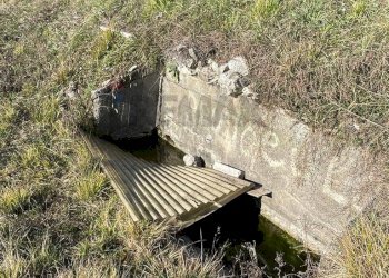 Giardino - Agricultural land via santa lucia, Botticino - photo 16