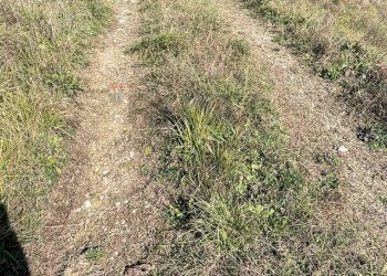 Non correlato - Agricultural land via santa lucia, Botticino - photo 17