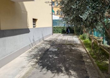 Cortile interno - Quadrilocale via Amico Aspertini, 2/2, Bologna (zona Mazzini) - foto 19