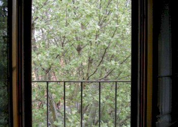 Vista - Trilocale Bologna (zona Colli) - foto 9