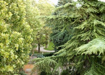 Vista - Trilocale via Saragozza, 240, Bologna (zona Colli) - foto 22