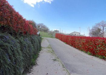 Foto 22 - Semi-detached house Strada di Porcivalle
 
41B, Terni - photo 22