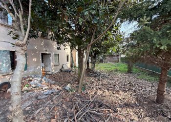 Foto 7 - Casa indipendente Via pietro fabris
 
8, Conegliano - foto 7