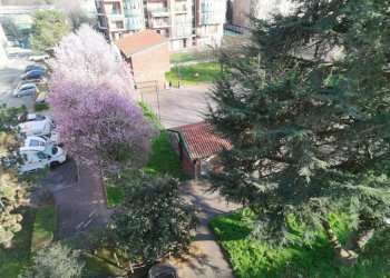 Vista - Appartamento via Palmiro Togliatti, 21, Torino (zona Mirafiori Sud) - foto 19