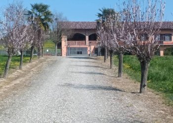 Terreno - Rustico via della Repubblica, Montiglio Monferrato - foto 4
