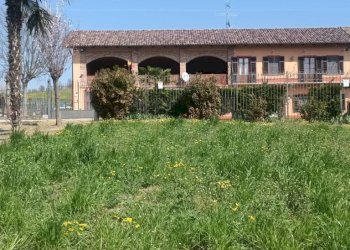 Terreno - Rustico via della Repubblica, Montiglio Monferrato - foto 10