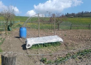 Terreno - Rustico via della Repubblica, Montiglio Monferrato - foto 22