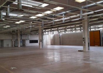 Interno non residenziale - Shed strada Feltrina, 196, Treviso - photo 3