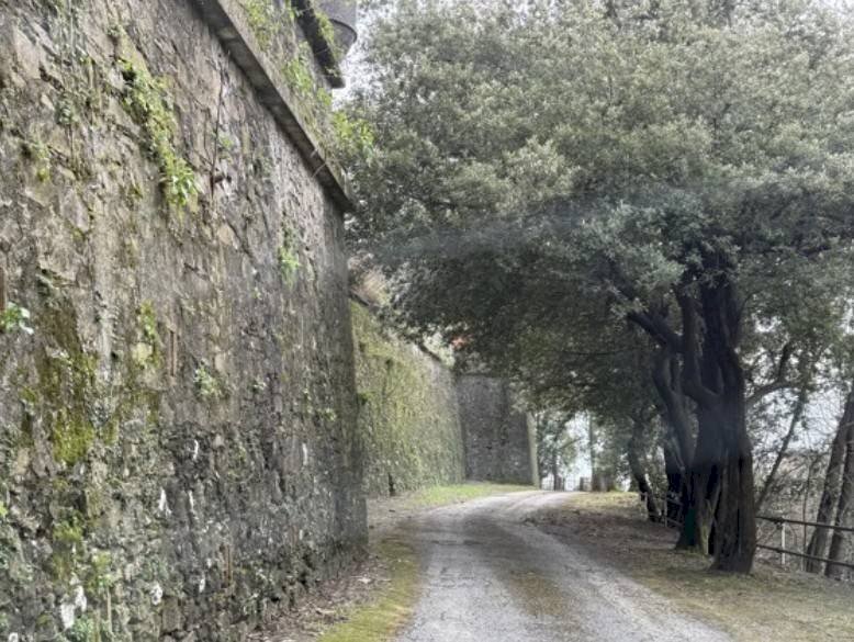 Terreno - Stable - Palace at auction via Ponte, 1, Serra Riccò - photo 3