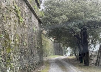 Terreno - Stable - Palace at auction via Ponte, 1, Serra Riccò - photo 3