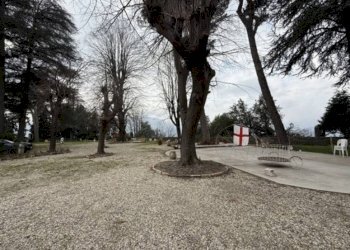 Terreno - Stable - Palace at auction via Ponte, 1, Serra Riccò - photo 6