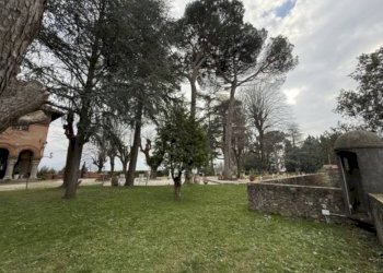 Terreno - Stabile - Palazzo all'asta via Ponte, 1, Serra Riccò - foto 12